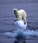 /events/ws1112/event.20110929-2/globalwarming2_150.jpg