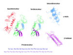 /events/ws2122/event.20211202/Proteinfaltung_150.jpg